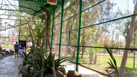Bird Aviary at an Aquarium in Mazatlan Mexico