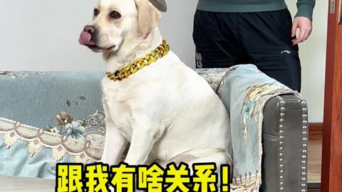 像不像对象和你冷战的样子？Does it look like the cold war between you and your object?