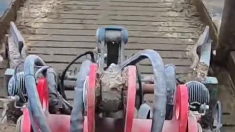 "Behind the Scenes: Automatic Cow Skeleton Removal at the Slaughterhouse"