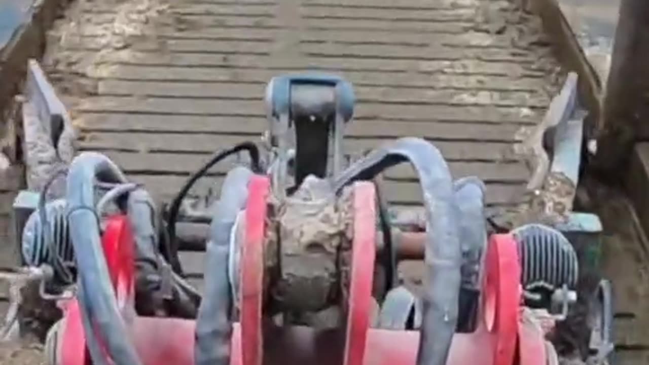 "Behind the Scenes: Automatic Cow Skeleton Removal at the Slaughterhouse"
