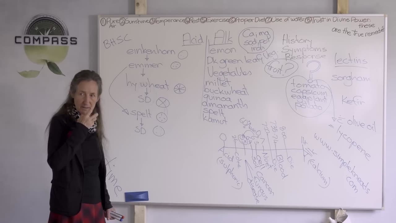 Barbara O'Neil - The Acid Alkaline Balance Pt 1 - 22