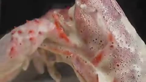 Incredible: Cooking Lobster In ONLY Butter