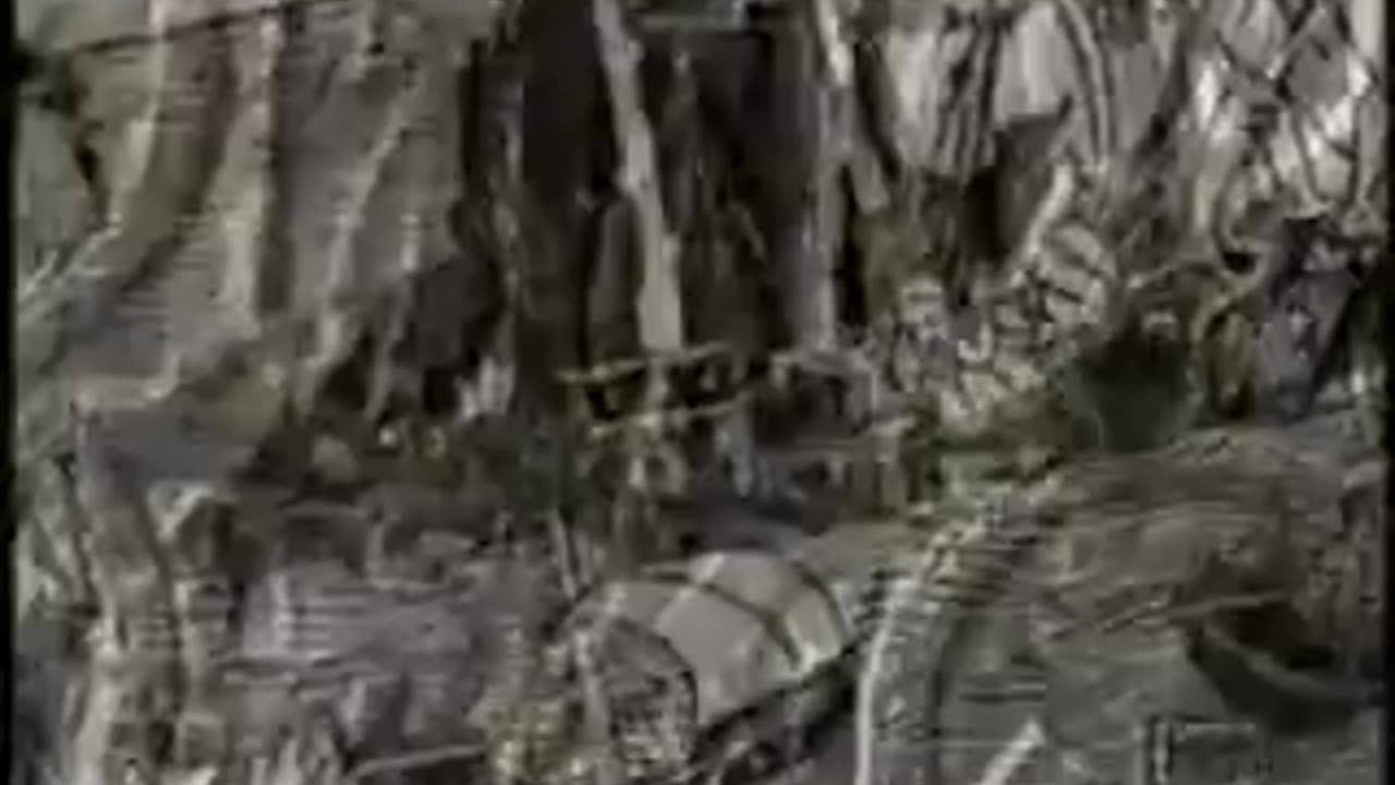 Maps of Meaning 03 (TVO) - Becoming Like Gods