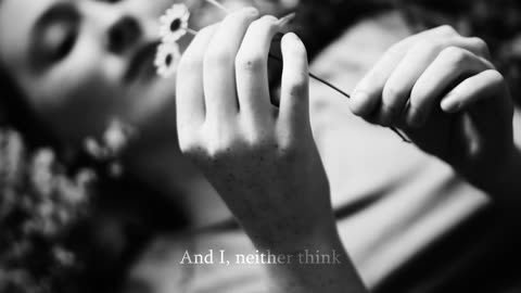 THEODOR BASTARD - Vetvi (Official Music Video)