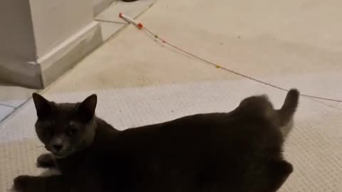 😱👻 You Won't Believe What They Caught on Camera! Monday Night | TheHauntingHour