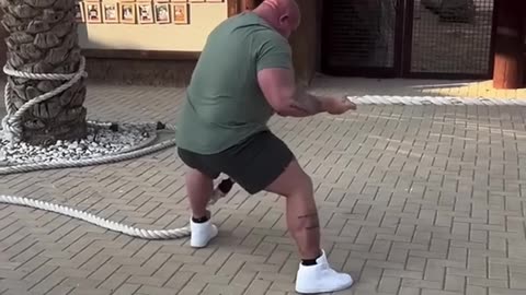 Man vs Tiger in Tug of War