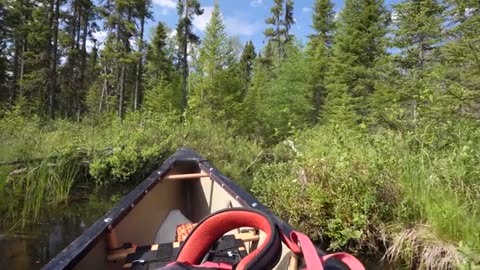 10 Days Camping in the Boreal Wilderness_part11