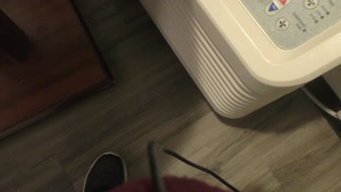 Playing with motel fan, and pipes SING as dad showers!