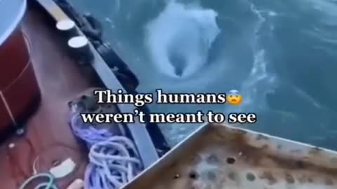 🤔👻 Real or Fake? You Decide | TheHauntingHour