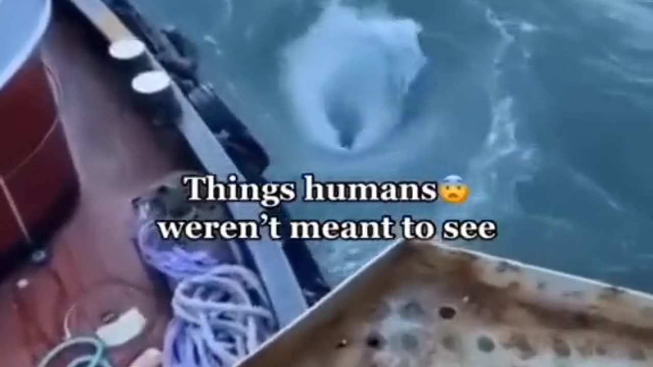 🤔👻 Real or Fake? You Decide | TheHauntingHour