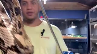 Rattlesnake Bites Cameraman!