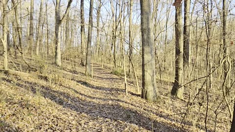 One minute of walking through the Tennessee woods in late fall.