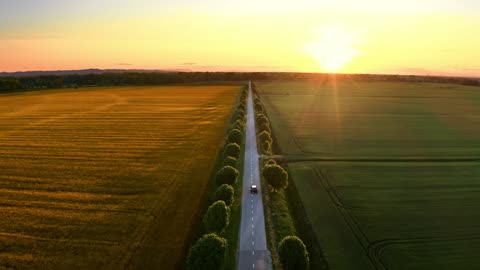 "The Race" Life's Journey, Positive Vibes