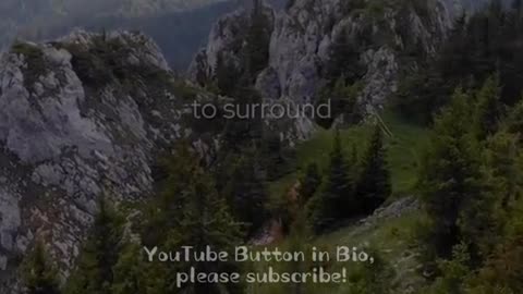 🕊️❤️ God's Praise & Prayer | A Blessed Talk for Inspiration | InGodWeTrustDaily