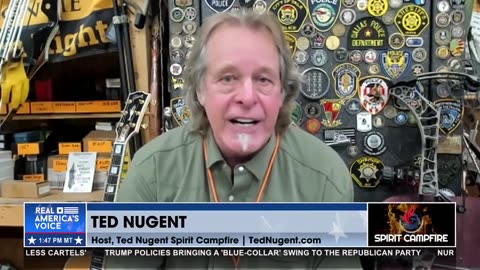NUGENT PULLS NO PUNCHES