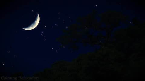 Soothing Night Sounds - Crickets and Cicadas, Perfect Background for Deep Sleep