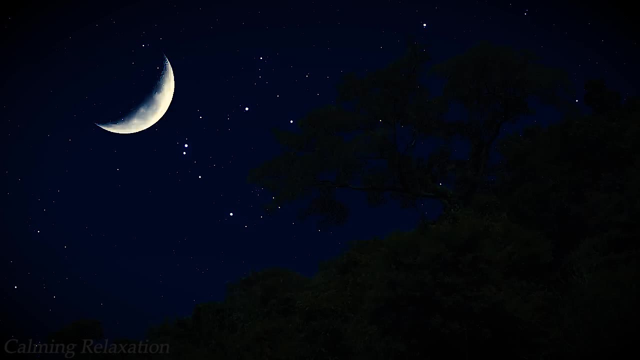 Soothing Night Sounds - Crickets and Cicadas, Perfect Background for Deep Sleep