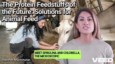 Future of Animal Nutrition:Sustainable Protein