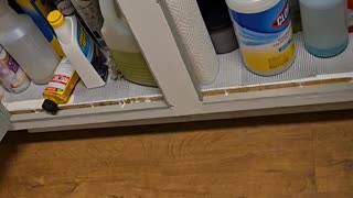 From RENTAL to FOR SALE! But Did the Tenants Leave a MESS? 😂🧹