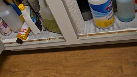 From RENTAL to FOR SALE! But Did the Tenants Leave a MESS? 😂🧹