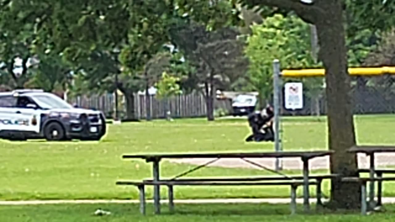 D.E.I. COP NEEDS MALE TO MAKE ARREST IN PARK