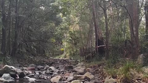 Terra Australis States Assembly - Why Assemble Part 2