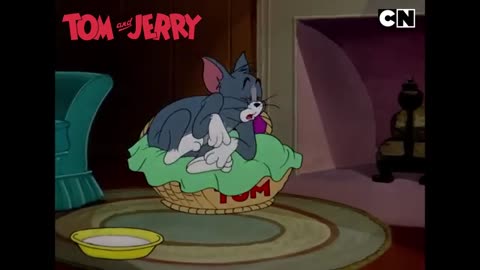 Tom, Jerry 😺🐭 & Spike Go Wild! 🐾 | National Pet Day 🐶| Cat and Mouse Funny Cartoon |