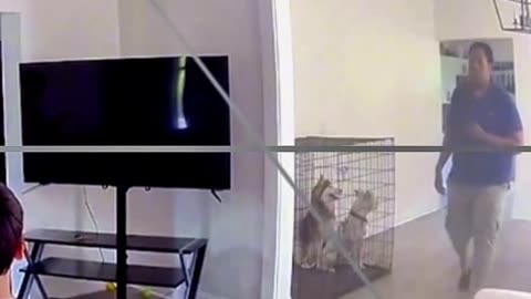 Girl running from stepdad barges into another family's house