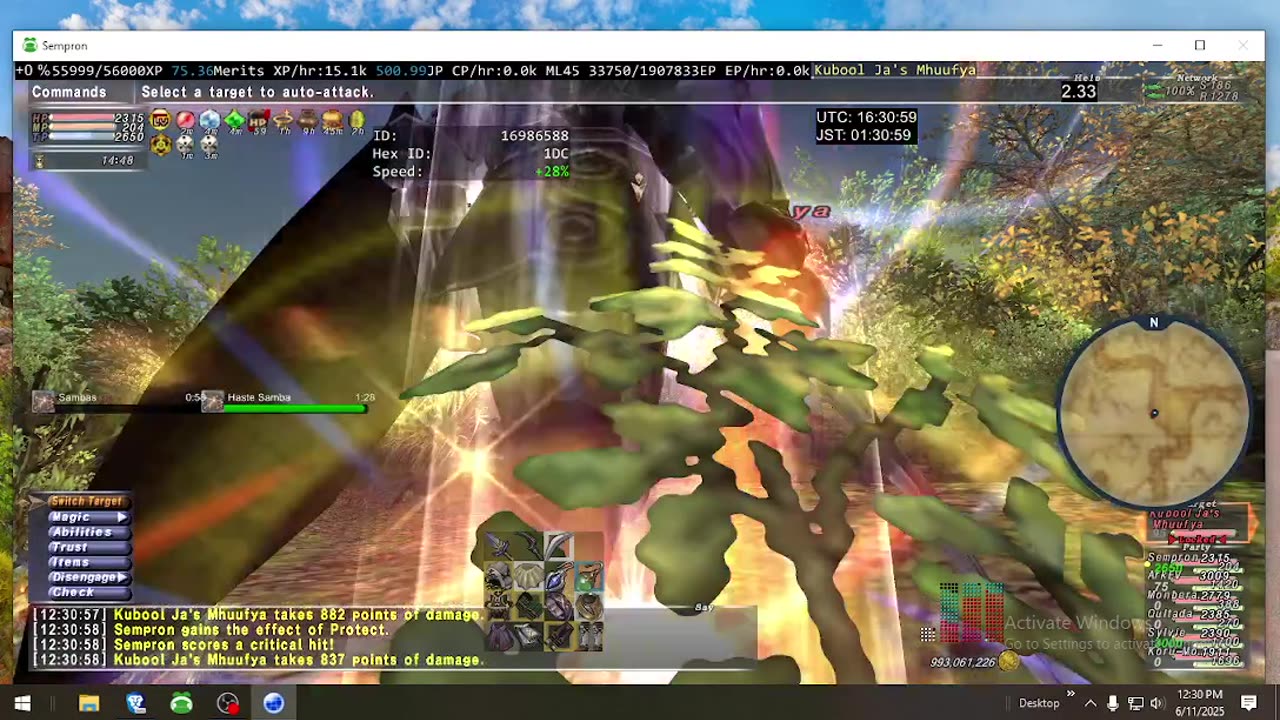 Playing Final Fantasy XI Online