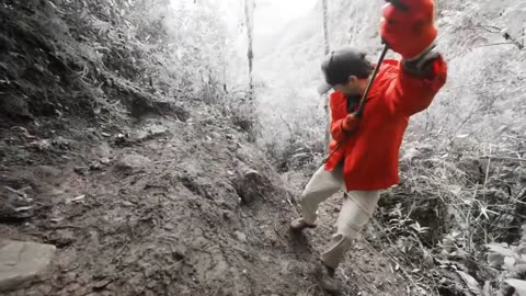 mrbeast Survived The 5 Deadliest Places On Earth | Hindi Dubbed | HD | ‪@MrBeast‬