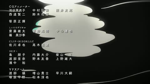 cap 11