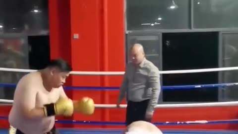 Korean Boxing Match – Cutest Fight You’ll Ever See! 🥊😂