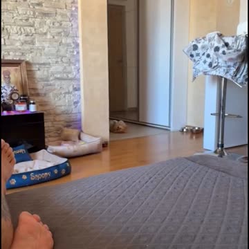 Dokaz da Andjela i snupi kod Galeta u stanu