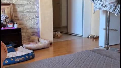 Dokaz da Andjela i snupi kod Galeta u stanu