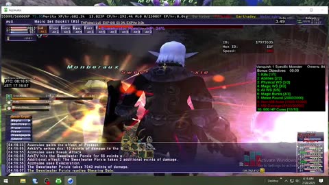 Playing Final Fantasy XI Online