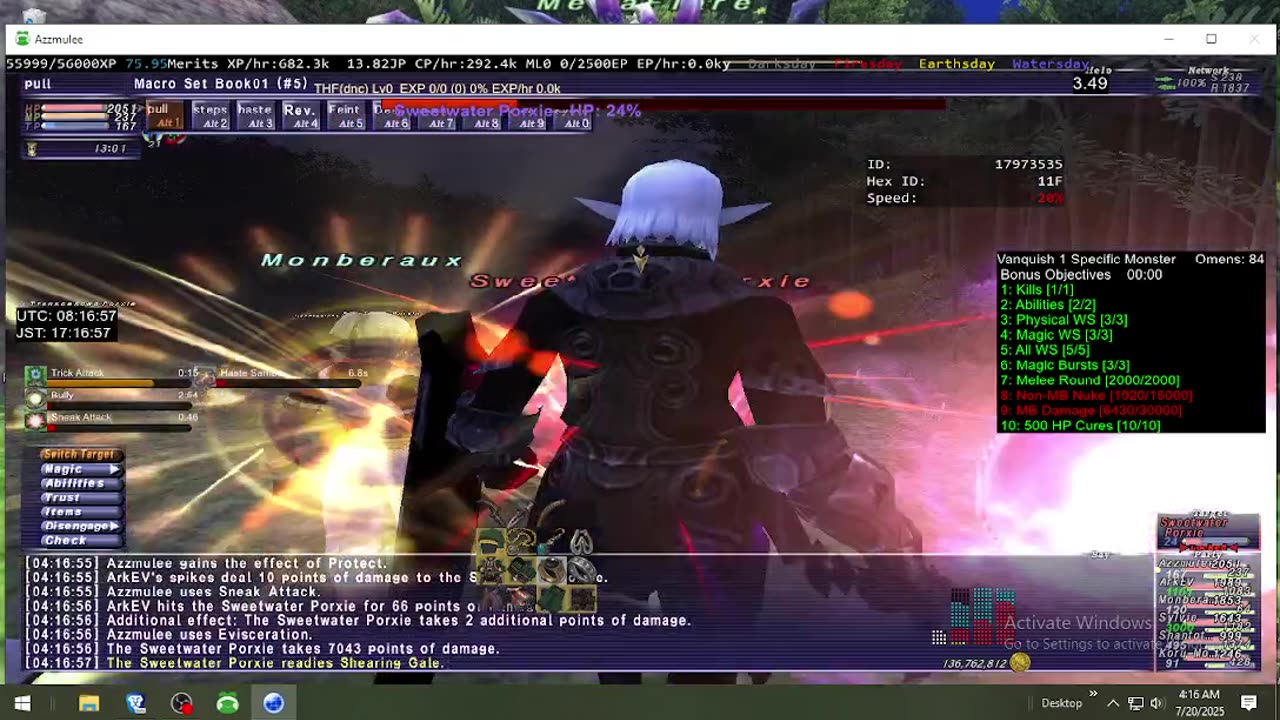 Playing Final Fantasy XI Online