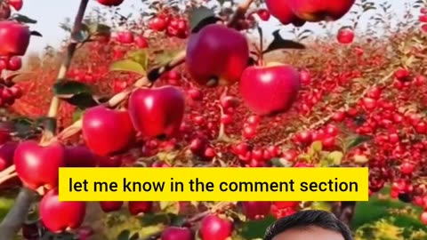 👉 "Unknown Fruits Reaction – আগে দেখেছেন নাকি? 🍎🤔"