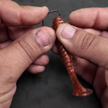 Alternative To The Wacky Rig Setup