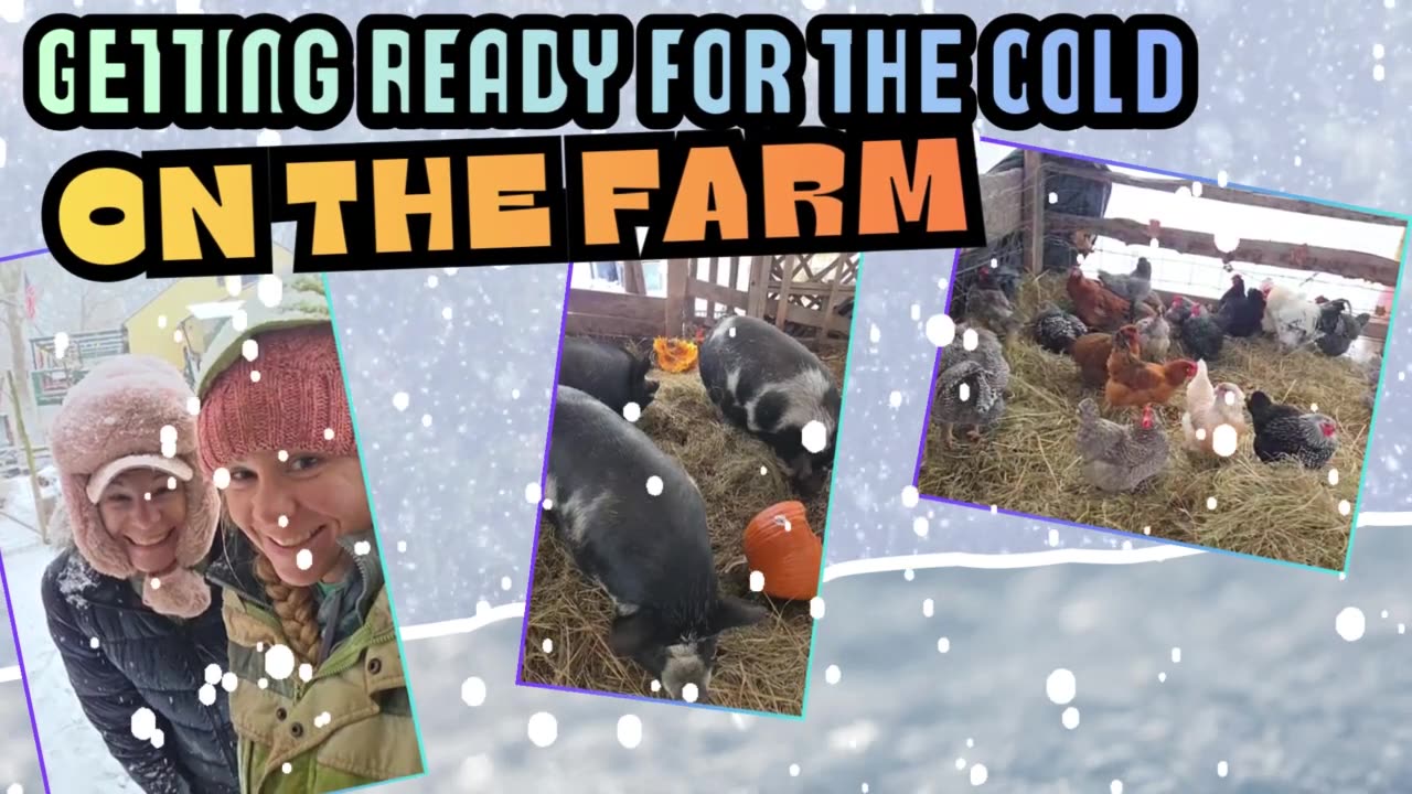 Getting Ready For the Cold on the Farm
