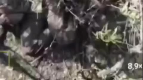 The faggots have been found