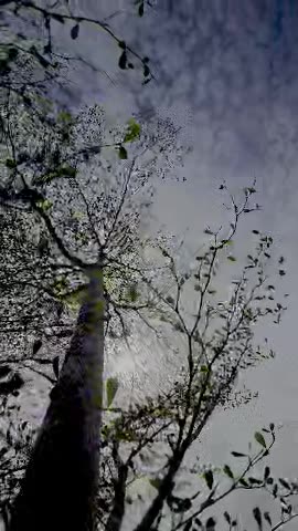 Relaxing Nature Views | Beauty in Every Corner