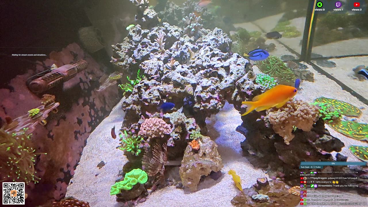 24/7 Real Live Reef Stream