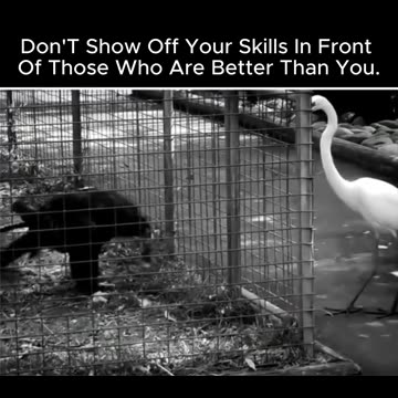 Don't show off your skills in front of those who are better than you.🔥