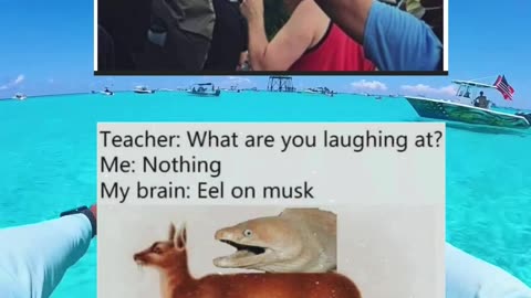 #funny #memes #fyp