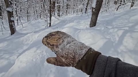 -18°F-28°C Surviving the Polar Vortex Overnight in a Snow Shelter_part1