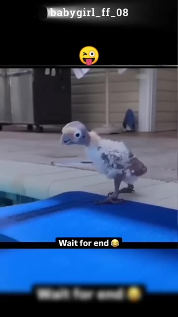 #babygirl #comedy #new #trending #viralvideo #youtubeshorts