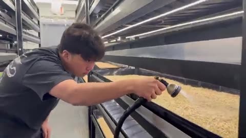 Meet the Student Who Lined Up at 4 a.m. to Secure a FarmBox Foods Field Study
