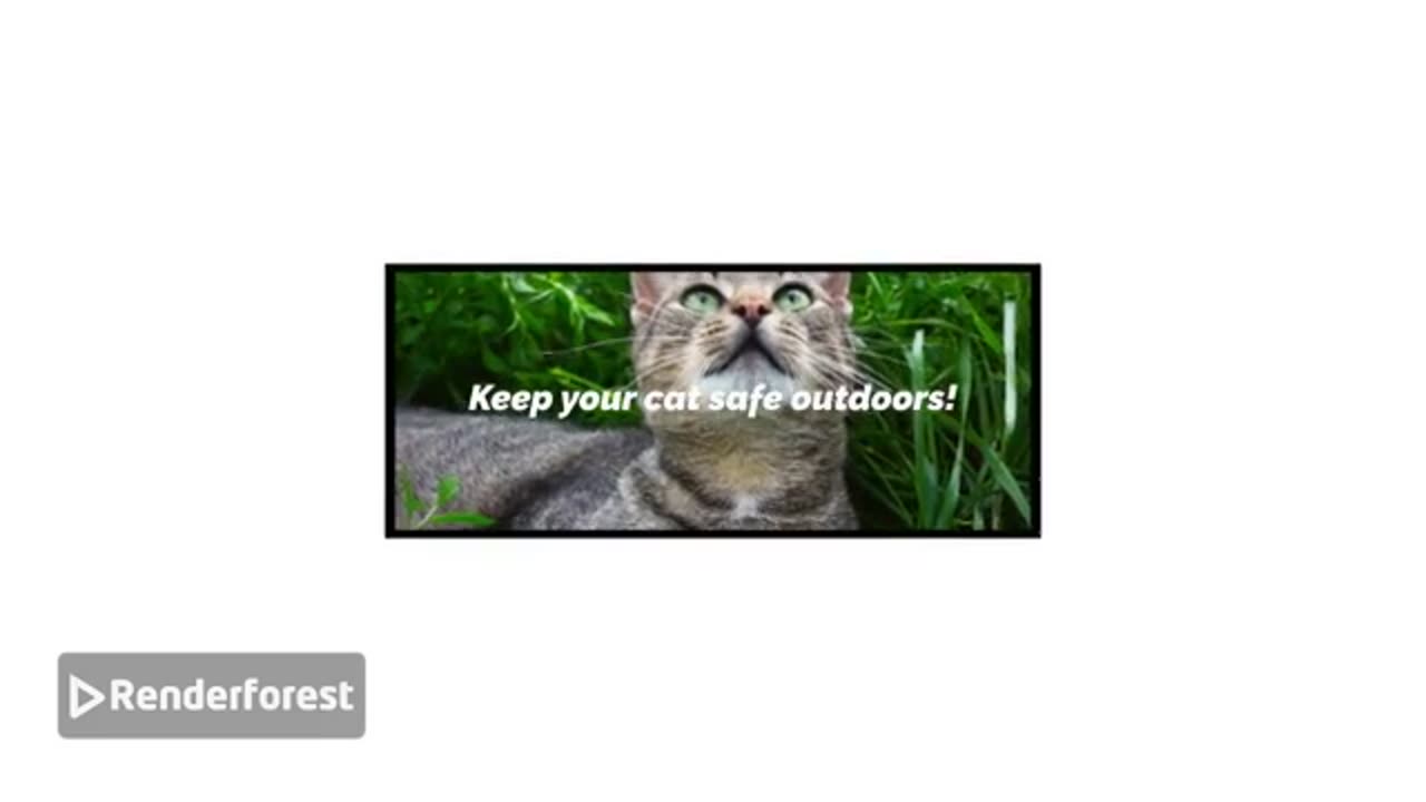 Stop the Scratch! 🐱 Frontline Plus for Cats – Fast Flea & Tick Protection