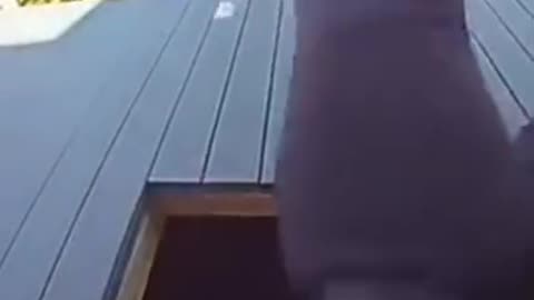 STOLE MY PACKAGE TWO TIMES THIS MONTH 📦 THERE WON'T BE A THIRD TIME