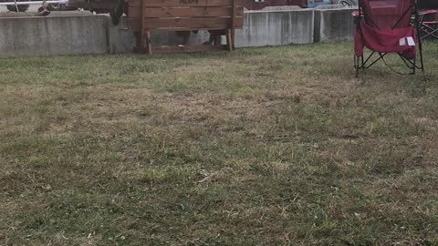 JULY 25 2025 DAY 2 OF MERCER COUNTY TRACTOR SHOW PART 1